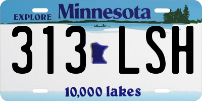 MN license plate 313LSH