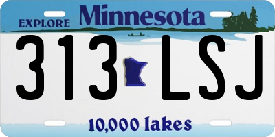 MN license plate 313LSJ