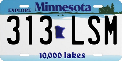 MN license plate 313LSM