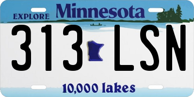 MN license plate 313LSN