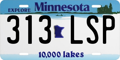 MN license plate 313LSP