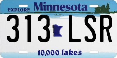 MN license plate 313LSR