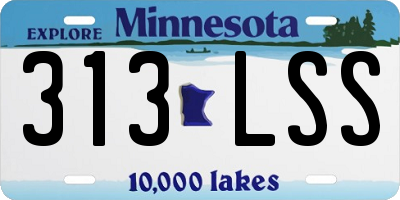 MN license plate 313LSS