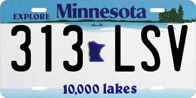 MN license plate 313LSV