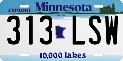 MN license plate 313LSW