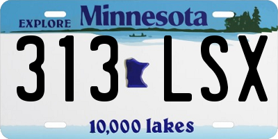 MN license plate 313LSX