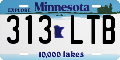 MN license plate 313LTB