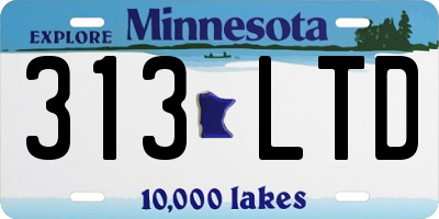 MN license plate 313LTD