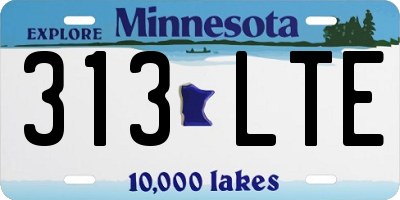 MN license plate 313LTE
