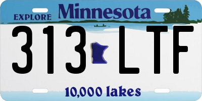 MN license plate 313LTF