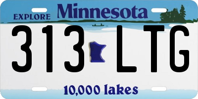 MN license plate 313LTG