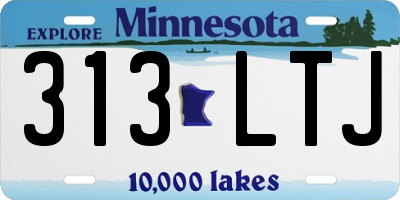 MN license plate 313LTJ