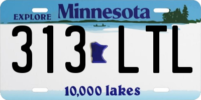 MN license plate 313LTL