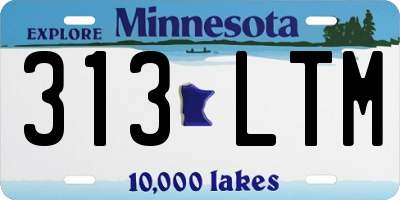 MN license plate 313LTM