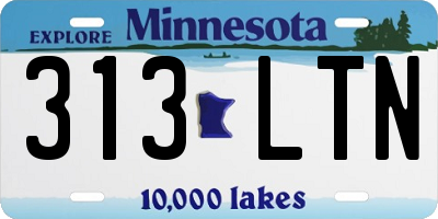 MN license plate 313LTN