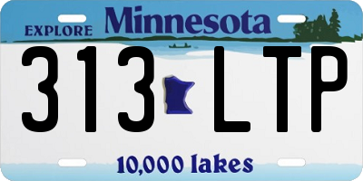 MN license plate 313LTP