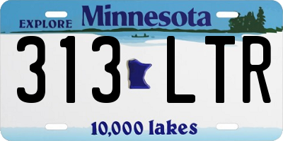 MN license plate 313LTR