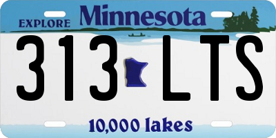 MN license plate 313LTS