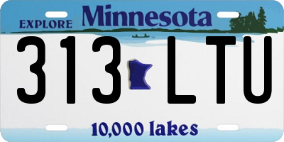 MN license plate 313LTU