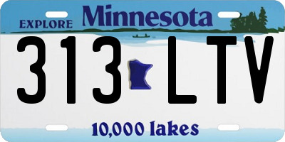 MN license plate 313LTV