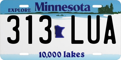 MN license plate 313LUA