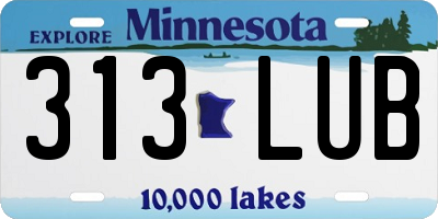 MN license plate 313LUB