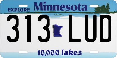 MN license plate 313LUD