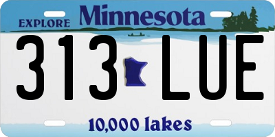 MN license plate 313LUE