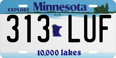 MN license plate 313LUF