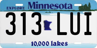 MN license plate 313LUI
