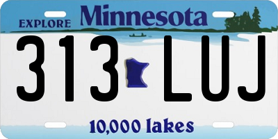 MN license plate 313LUJ