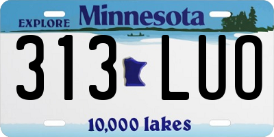 MN license plate 313LUO