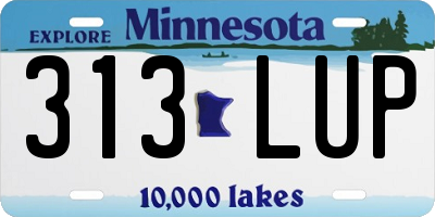 MN license plate 313LUP