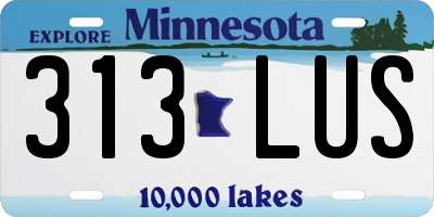 MN license plate 313LUS