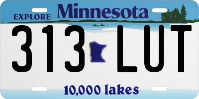 MN license plate 313LUT