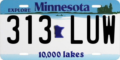 MN license plate 313LUW