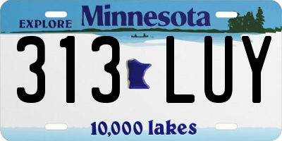 MN license plate 313LUY