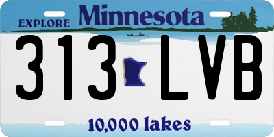MN license plate 313LVB