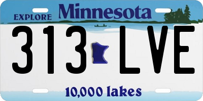 MN license plate 313LVE
