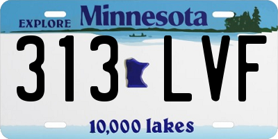 MN license plate 313LVF