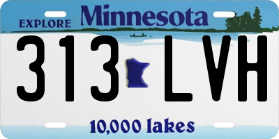 MN license plate 313LVH