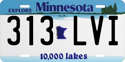 MN license plate 313LVI