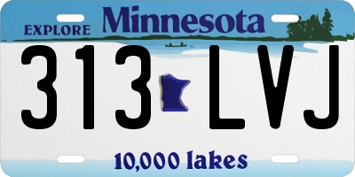 MN license plate 313LVJ