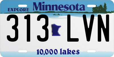 MN license plate 313LVN