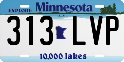 MN license plate 313LVP