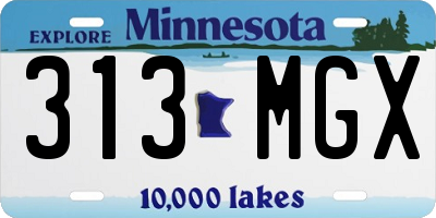 MN license plate 313MGX