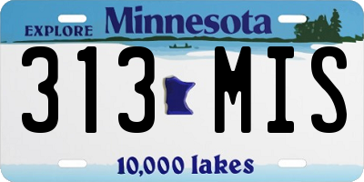 MN license plate 313MIS