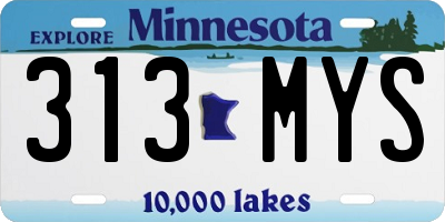 MN license plate 313MYS