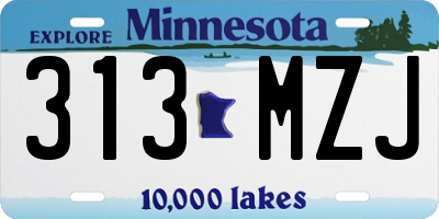 MN license plate 313MZJ