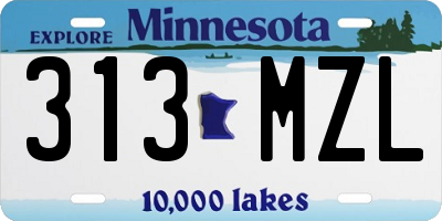 MN license plate 313MZL